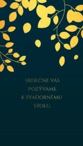 moderní svatební oznámení