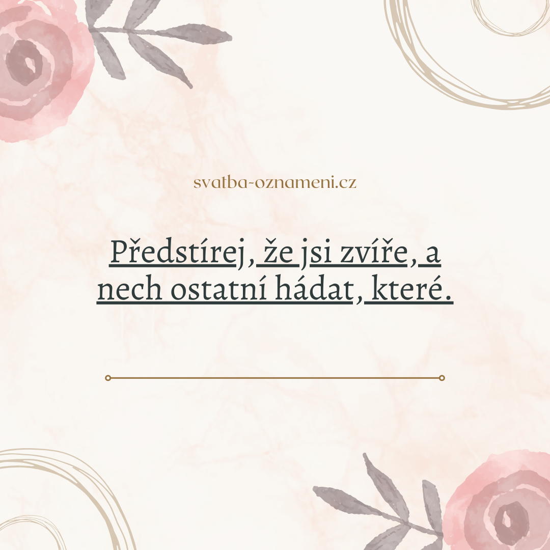 pravda nebo úkol otázky vadí nevadí