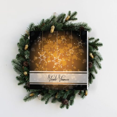 hnědá novoročenka s hvězdami