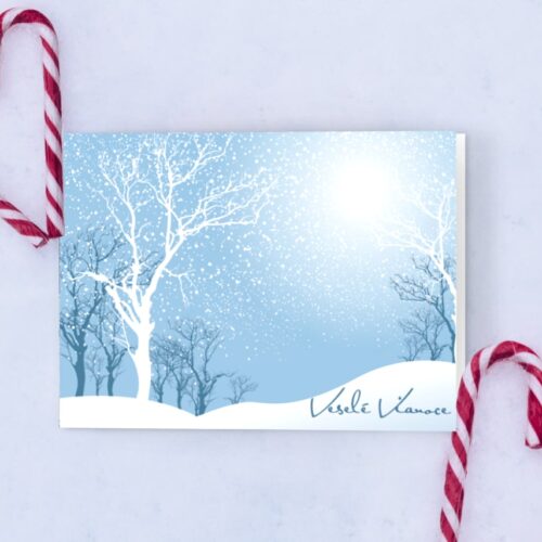 firemní novoročenka se zimní krajinou