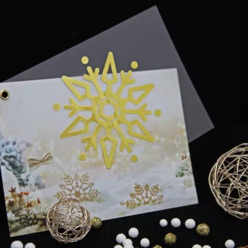 novoročenka se sněhovou vločkou