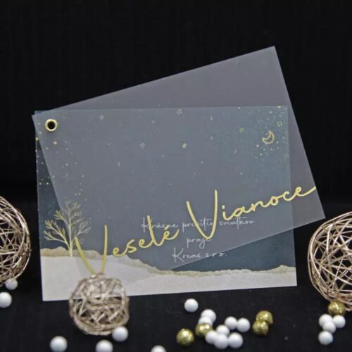 Novoročenka s noční krajinou