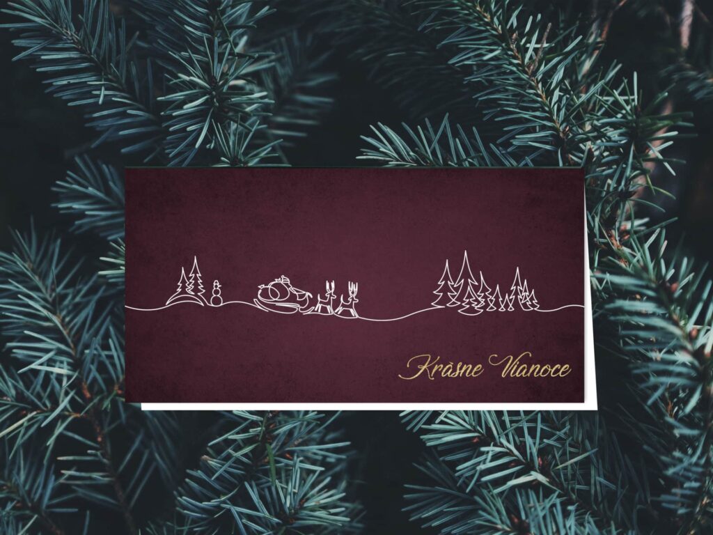 Novoročenka Moderní vp215