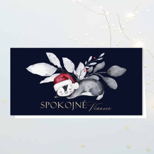 novoročenka s tučňákem v listech