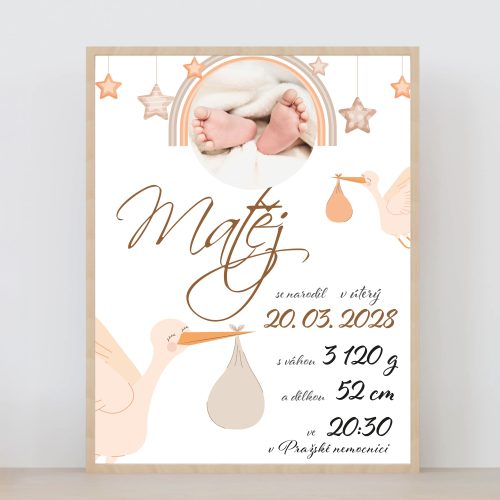 Tabulka údajů o narození