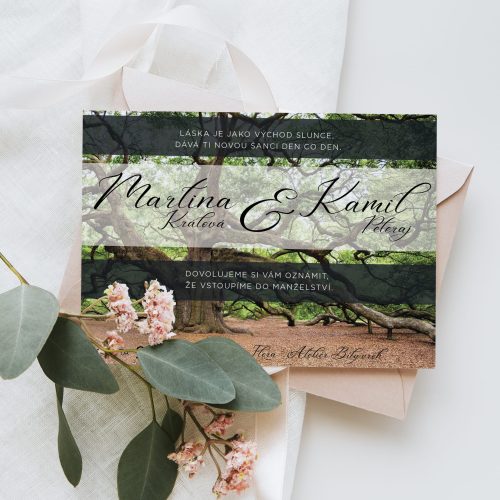 svatební oznámení