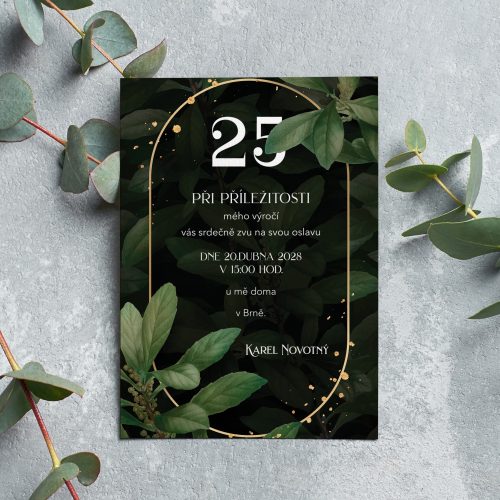 pozvánka na oslavu 25. narozenin