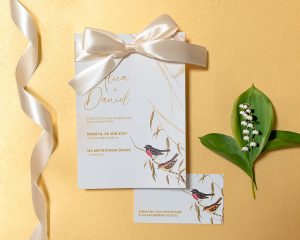 svatební oznámení s mašlí