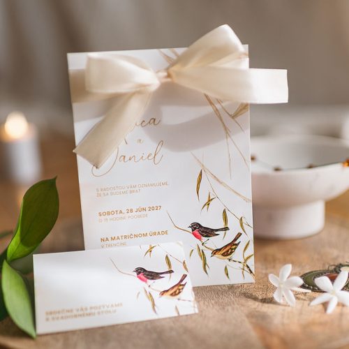 svatební oznámení s mašlí